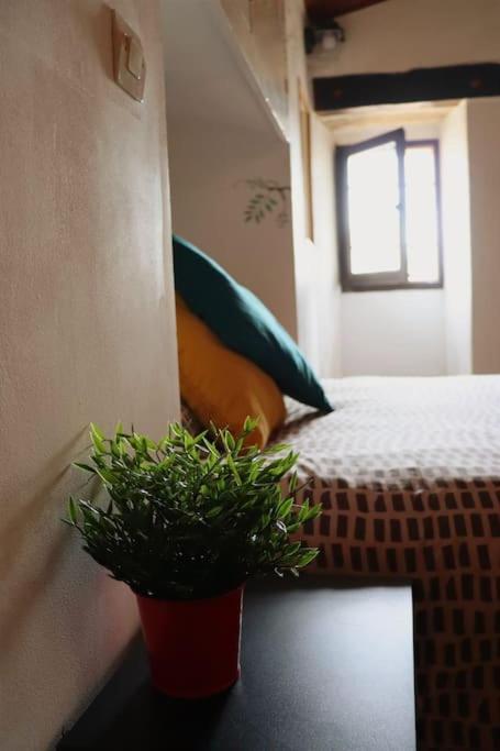 Entre Uzes Et Le Pont-Du-Gard Le Logis D'Autrefois Apartment Castillon-du-Gard Ngoại thất bức ảnh